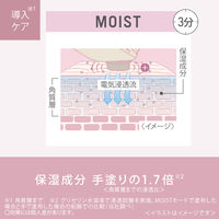 パナソニック イオン美顔器 イオンブースト EH-ST0A-N 1台