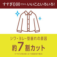 アクロンやさしさプレミアム グリーンシトラスの香り 詰め替え 650mL 1個 洗濯洗剤 ライオン