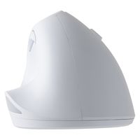 ナカバヤシ 無線静音5ボタンエルゴノミクスマウスホワイト MUS-RKF179W 1個（直送品）