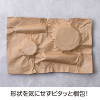 ヒサゴ ピタッとペーパー　開封注意 KP003 2冊（直送品）