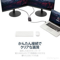 USB-A - DisplayPort 変換アダプタ 2画面 USB32DP24K60 1個 Startech.com