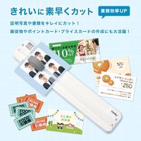 アスカ スライドカッター ホワイト SPT40W 1セット(2枚)