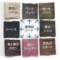 ドクターベックマン カラー&ダートコレクター 色移り防止シート 30枚入り イーオクト 1個（わけあり品）