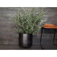 ホワイエ AM8ベースBK φ30xH31 3u00051BK 1個（直送品）