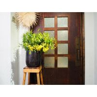 ホワイエ AM10ベースBK φ36xH37 3u00052BK 1個（直送品）