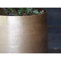 ホワイエ AM10ベースGL φ36xH37 3u00052GL 1個（直送品）