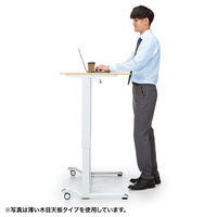 サンワサプライ ガス昇降デスク 幅1200×奥行600×高さ683～1070mm ホワイト×ホワイト ERD-G12060W 1台（直送品）