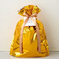 ヘッズ アルミ蒸着リボン付バッグ-M/ゴールド(10枚) AGO-RBM 1セット(5パック×10枚)（直送品）