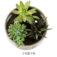 ヘッズ ハンドメイドプリントフラワーポット-22(1個) HNP-FPO22 1セット(4パック×1個)（直送品）