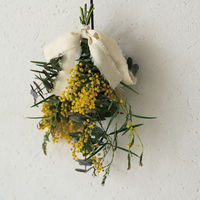 ヘッズ フリンジコットンブレンドリボン-1/キナリ(1巻) MFR-NR1 1セット(10パック×1巻)（直送品）