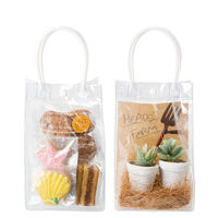 ヘッズ PVCクリアバッグ-LW M-PLWB 1パック(10枚)