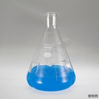 HARIO バッフル付き三角フラスコ 1000mL BSF-1L-SCI 1個 4-4574-06（直送品）