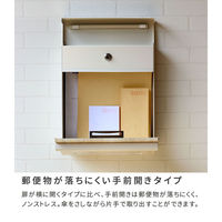 住まいスタイル ルカ 木目調壁掛けポスト 幅300×奥行110×高さ365mm ブルー PST-001BLU 1台（直送品）