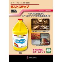 S.M.S.JAPAN ラストステップ 3.8L 3110C 1本（直送品）