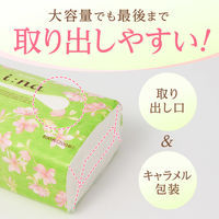 エリエール イーナ ソフトパック ティッシュペーパー 200組 1箱(60個:6個入×10パック) 大王製紙