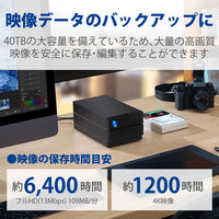 HDD 外付け 40TB 据え置き 5年保証 2big RAID USB-C STHJ40000800 LaCie 1個（直送品）