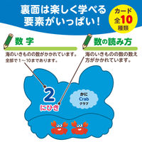 アーテック 海のいきものえあわせカードゲーム 7197 1セット(1個×5)