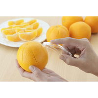 下村企販 皮むき器 ラクラク皮むき 2個組 日本製 279005 1個（直送品）