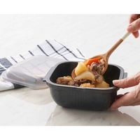 岩谷マテリアル グルラボプラス パーソナルセット 電子レンジ 調理器具 オーブン対応 日本製 380705 1個（直送品）