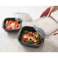 岩谷マテリアル グルラボプラス マルチセット 電子レンジ 調理器具 オーブン対応 日本製 380704 1個（直送品）