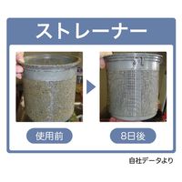 ビッグバイオ ヌメリのち晴れ排水管用 50錠入り 4540094411390 1セット(1個×6)