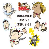 アーテック からだの不思議かるた 9529 1セット(3個)