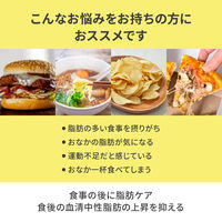 ナップル粒120粒（30日分）【機能性表示食品】 2個 ロート製薬