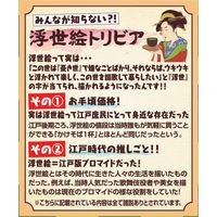 エースコイン抹茶味 6個 日清シスコ クッキー ビスケット