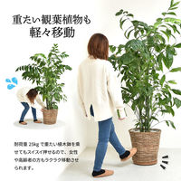 B.Bファニシング ラウンド プランターベース 幅300×奥行300×高さ37mm ライトブラウン ONPT0106MELBR 1台（直送品）