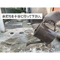 家庭化学工業 家庭化学 セメント 1.3kg グレー 4905488131153 1袋