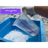 家庭化学工業 家庭化学 セメント 1.3kg ホワイト 4905488132150 1袋