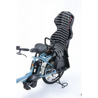 川住製作所 川住 KW-102RC リアチャイルドクッションBKRボーダー 4986012204154 1枚（直送品）