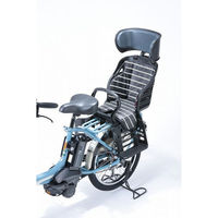 川住製作所 川住 KW-106RC リアチャイルドクッションBKRボーダー 4986012204192 1枚（直送品）