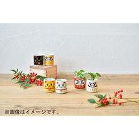 聖新陶芸 聖新 GD-91501 オメデタオチョコ だるまアカ　1個（直送品）