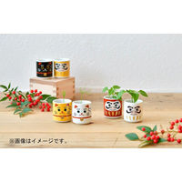 聖新陶芸 聖新 GD-91502 オメデタオチョコ だるま シロ 1個（直送品）