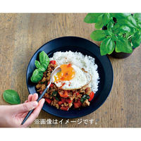 聖新陶芸 聖新 GD-95103 レシピ付栽培セット バジル　1セット（直送品）