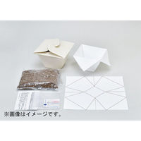 聖新陶芸 聖新 GD-95301 バガスグリーン ラディッシュ　1個（直送品）