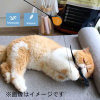 ベムパートナー ベム AW-C-020 ねこじゃらしDX ピンクW 1本（直送品）