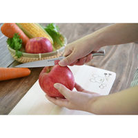 ヤクセル CKプレミオASペティナイフ くまのがっこう 33152 1本（直送品）