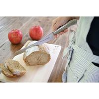 ヤクセル CKプレミオASパンナイフ くまのがっこう 33154 1本（直送品）