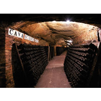 コドルニウ 150周年記念ボトル スパークリング 750ml 1本