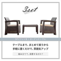 三栄コーポレーション ラタン調ガーデンソファ・テーブル 3点セット　グレー A1-LZN3SETBKGY 1セット（直送品）