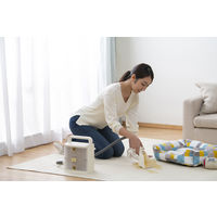 アイリスオーヤマ コードレスリンサークリーナー RNSーB400D 1台