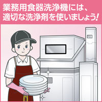 アクシャルニュースター 中性濃縮洗剤 1箱（4.5L×2個） 業務用食洗機用洗剤 花王