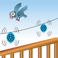 エスコ 鳥忌避磁石(2個) EA941-91 1セット(8個:2個×4個)（直送品）