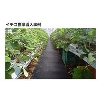 魚瀬ゴム 農作業用ゴムマット　５ｍｍｘ７００ｍｍｘ２０００ｍｍ 6300032872 1枚（直送品）