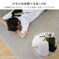スミノエ 洗える ラグ アトレ 1850×2400mm アイボリー 4549781280929 1枚（直送品）