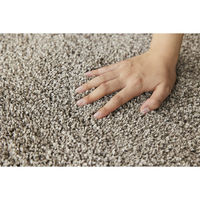 スミノエ 洗える ラグ ソル 190×240cm ブラウン 4549781289960 1枚