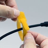 RIP-TIE(リップタイ) リップタイライトミニ 6mmX140mm 虹 Y-55-Q10-RW 1個(10本分)