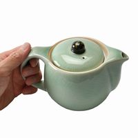 アースモス ティーポット ビードロ灰釉 ポット [2個入] vac-113-06004（直送品）